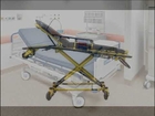 Stretcher With Physical Containment