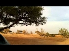 Camping hunting - organic food - desert of Arabia