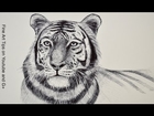 Free Drawing Tutorials - Learn to Draw With Fine Art Tips
