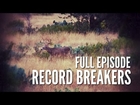 Deer Nutrition PLUS Hog Hunting | Record Breakers