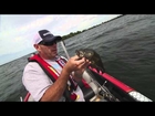Monster Jerkbait Bass with Elite Series Champion Brandon Palaniuk - Dave Mercer's Facts of Fishing