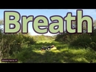 Yoga Breath - Benefits of Yoga Series - The Sacred Mantra of Your Breath - Namaste Yoga 197