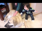 JULIANNA LOVES DOGS! - January 19, 2014 - itsJudysLife Vlog