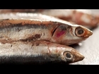 How to Eat Anchovies - Melissa Clark Cooking