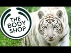 The Body Shop Foundation Invites NYC Beauty Editors to Visit Big Cat Rescue