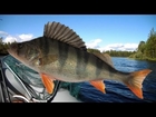 Рыбалка-7 Дней в Карелии,часть 2(7 Days fishing in Karelia, part 2)