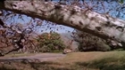 Eve and the Handyman  ( Russ Meyer movie clip )