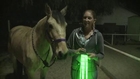 Tail Lights : feux arrières LED pour la queue du cheval