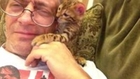Cute Kitten Wants Owner's Glasses