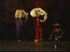 Un ballet de danse hilarant - Le lion fait du Michael Jackson!