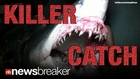 KILLER CATCH: Man Reels In 12 Foot Long, 1300 lb Mako shark Off the Coast of L.A.
