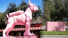 200 lb Pink Dog Wearing Tennis Shoes Stolen in West Hollywood