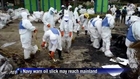 Thai firm understates oil slick fallout: Greenpeace